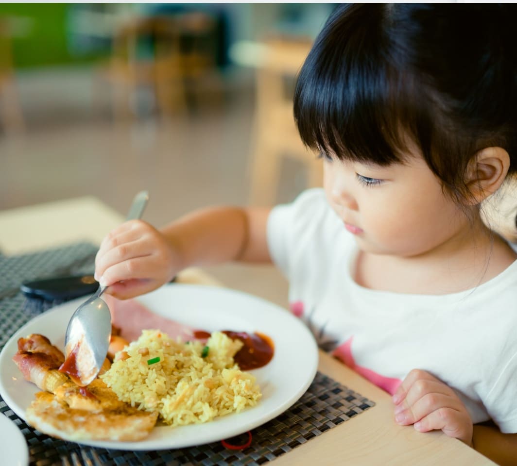 anak susah makan nasi