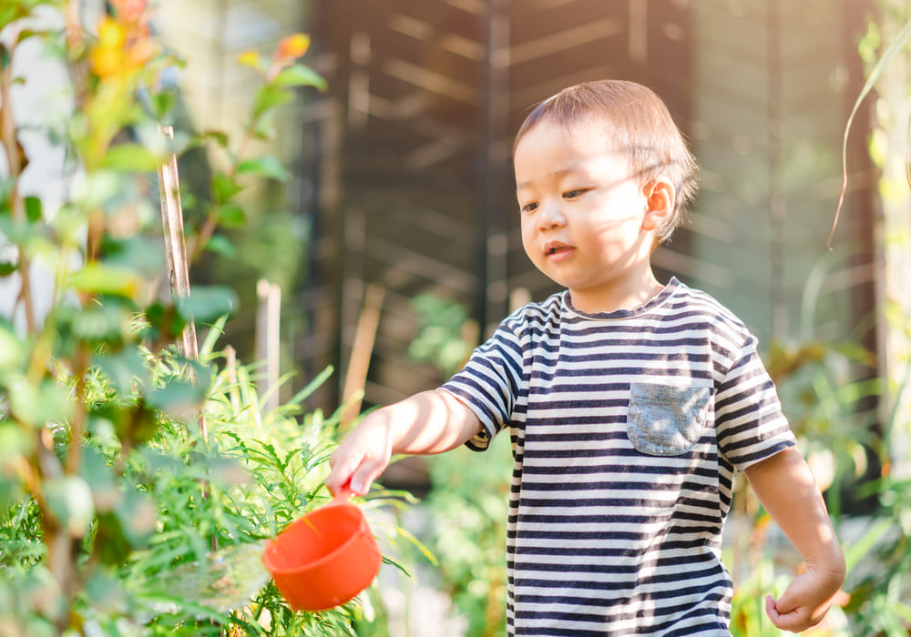 pertumbuhan anak optimal