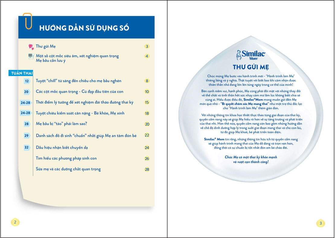 Pregnant Mom Booklet P2