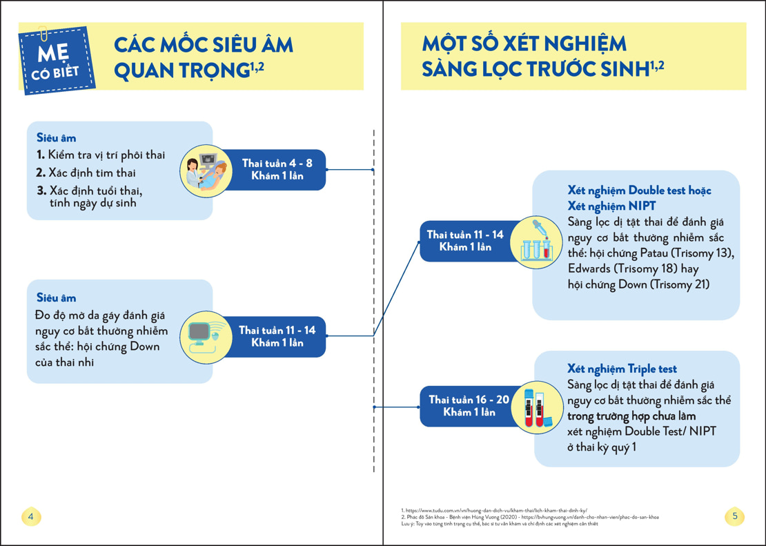 Pregnant Mom Booklet P3